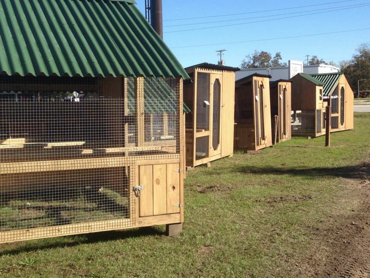 SCBackyards's tweet image. Chicken Coop Row at the shop! Happy Friday! #backyardchickens #loveyourchickens #urbanfarming #chickentweet