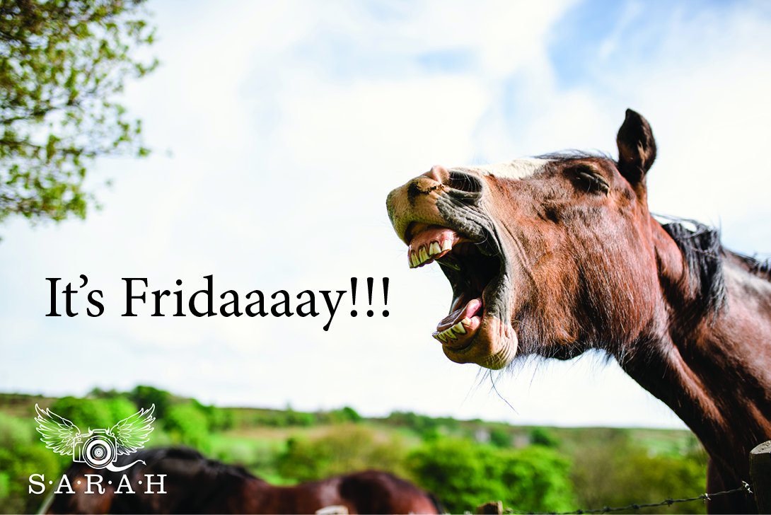 Sarah Wedding Photog tweet media