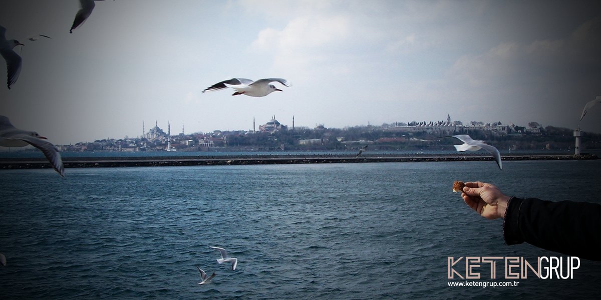 Bahanemiz hazır: "Martılara simit atmayı özledim!"