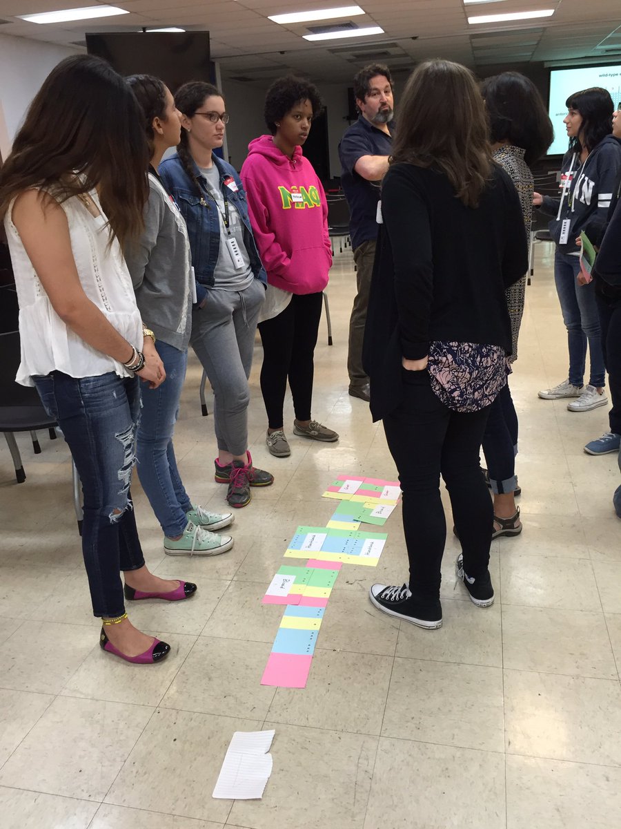 DFB2017's tweet photo. What better way to learn about transcription factors than to be one? Thanks @sbarolo! #science #DFB2016 #biology https://t.co/bth2Plt2G6