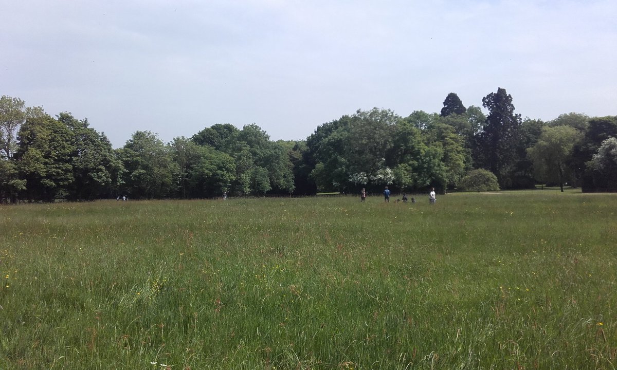 debergues1's tweet photo. Enjoying the english countryside before Canterbury :) https://t.co/SIEgJ6u8ji