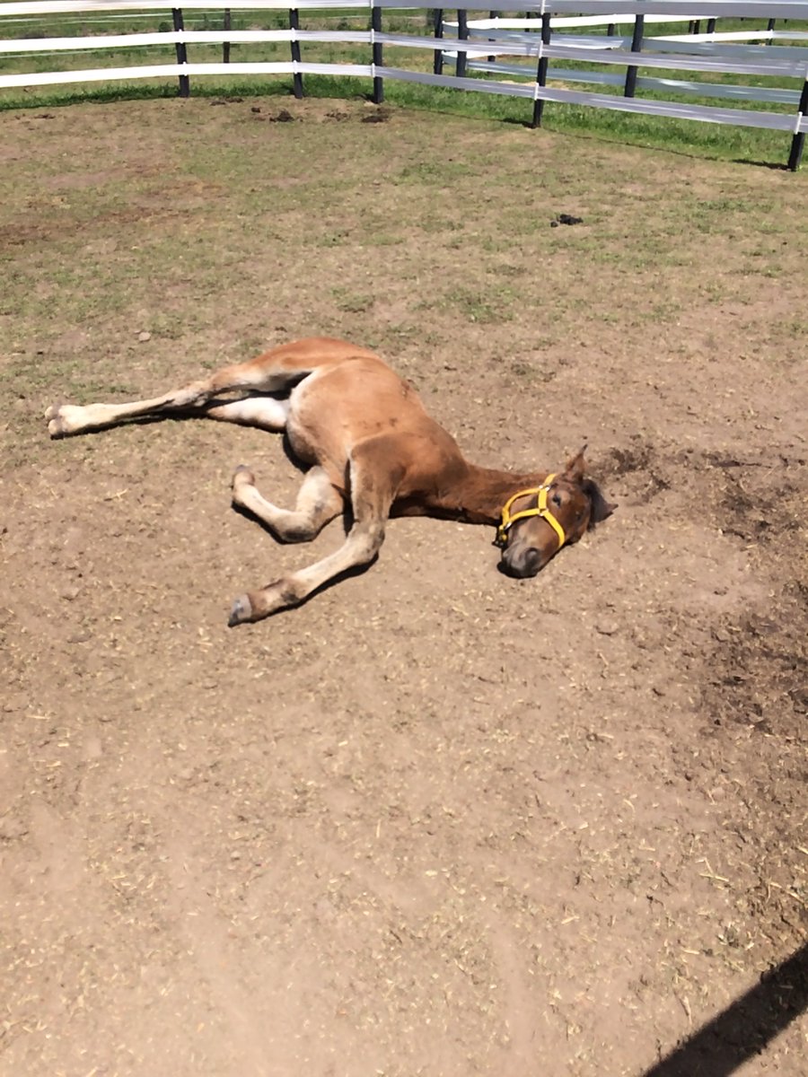 Centrokawell's tweet photo. #fbf Este pequeño paciente de #CentroKawell disfrutando de un viernes de sol #temporada2016 https://t.co/R4X5kP5qDM