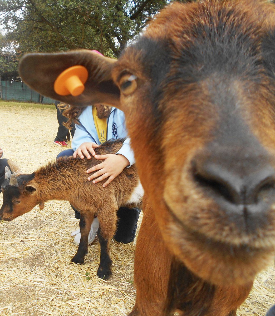 ¡Que paséis muy feliz viernes!