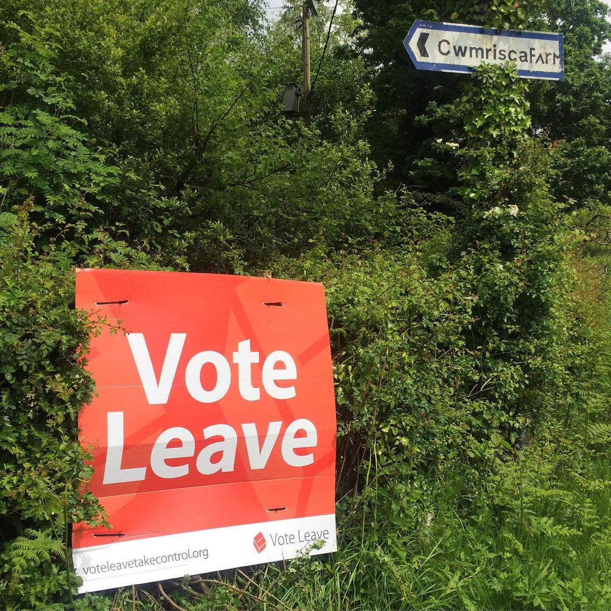Jacob_cwmrisca's tweet photo. Signs up at the bottom of the farm's lane, doing our bit πͺ #EUreferendum #VoteLeave #LetsTakeControl https://t.co/eewU60mb6h
