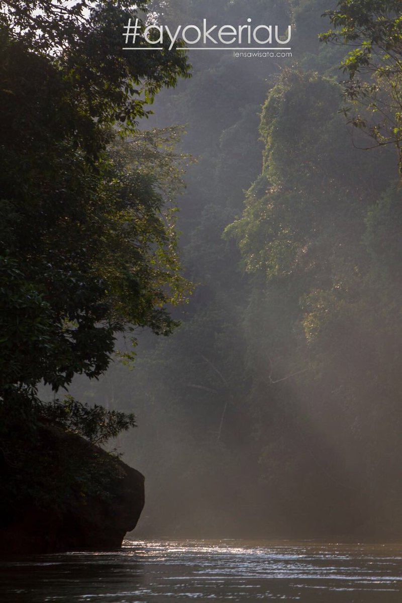 #ayokeriau sungai kopu. Hidden paradise di hutan Kampar. Tidak jauh dari Candi Muara Takus.