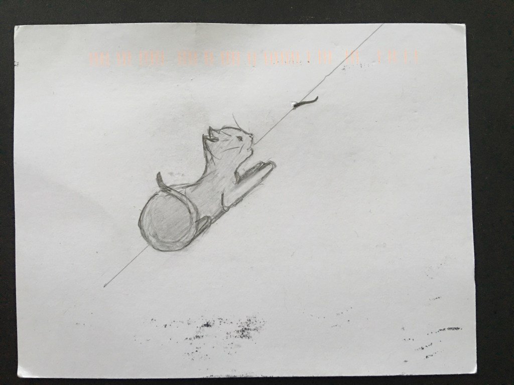 a game of cat and mouse whyweloveaustin.com/2016/05/27/a-g…