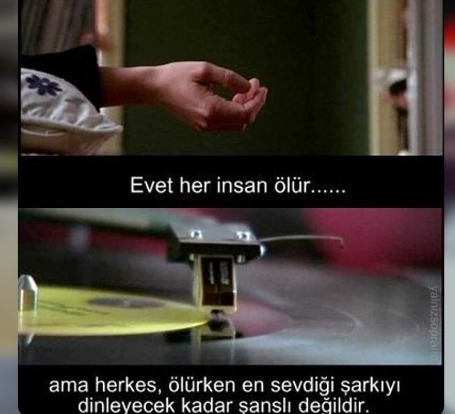 Fatmen👽 (@istanbluees) on Twitter photo 