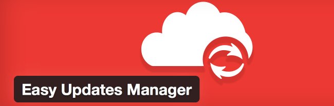 WPNewsAndTips's tweet photo. Take Granular Control of WordPress’ Update System with Easy Updates Manager https://t.co/2p6ihDcNDr https://t.co/dek3M4uskA