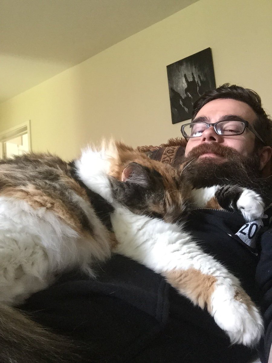 HogansBeard's tweet photo. Also it goes without saying that a huge sense of positivity in my life comes from this bak of fur! #12PositiveTweets https://t.co/jejp6qZjnO