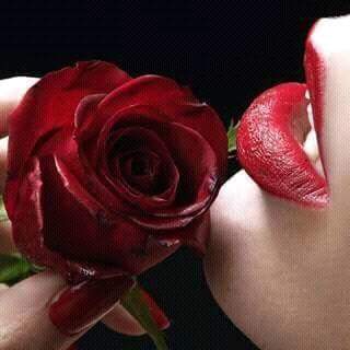 lascian1's tweet photo. @RocioMaraos https://t.co/kPXxMgktq3