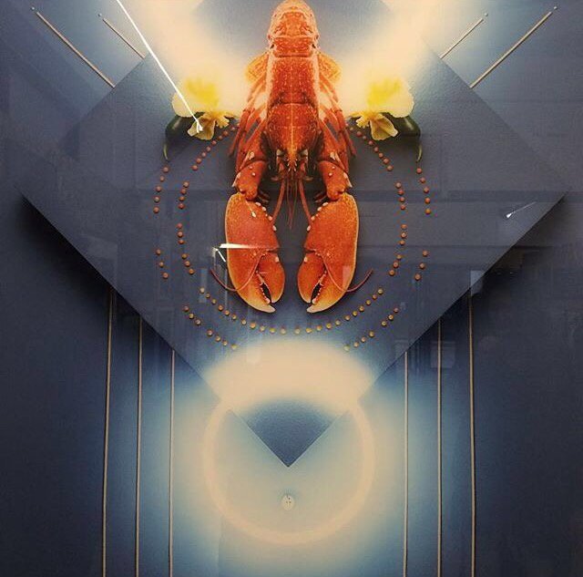 Lobster bar tweet media