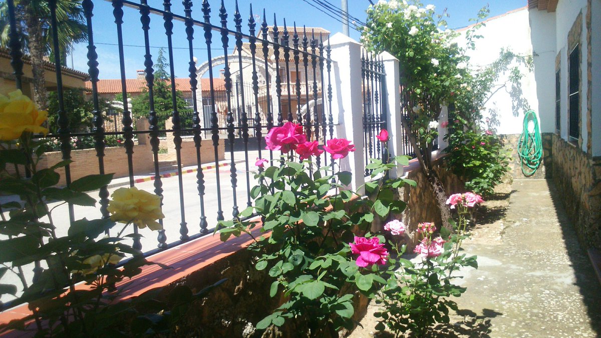 RaquelJ_94's tweet photo. Home 🌸🌹🌾 https://t.co/yqLKP4pgRk