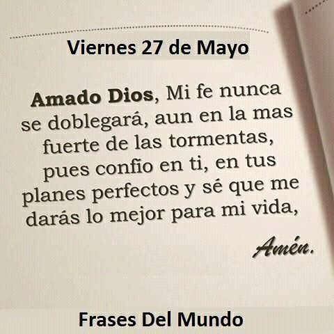 Tribudelfuturo's tweet photo. Amén🙏 https://t.co/WDwFq50jxj