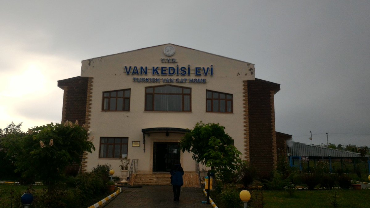 drhamithanci (@drhamithanci) on Twitter photo 