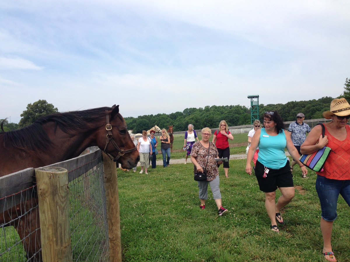 Our horses had an awesome time greeting visitors from Great Britain today! #kentuckytourism