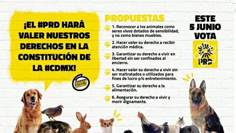 gurtubay77's tweet photo. Vamos este 5 de junio lo merecen https://t.co/COPTkqnELn