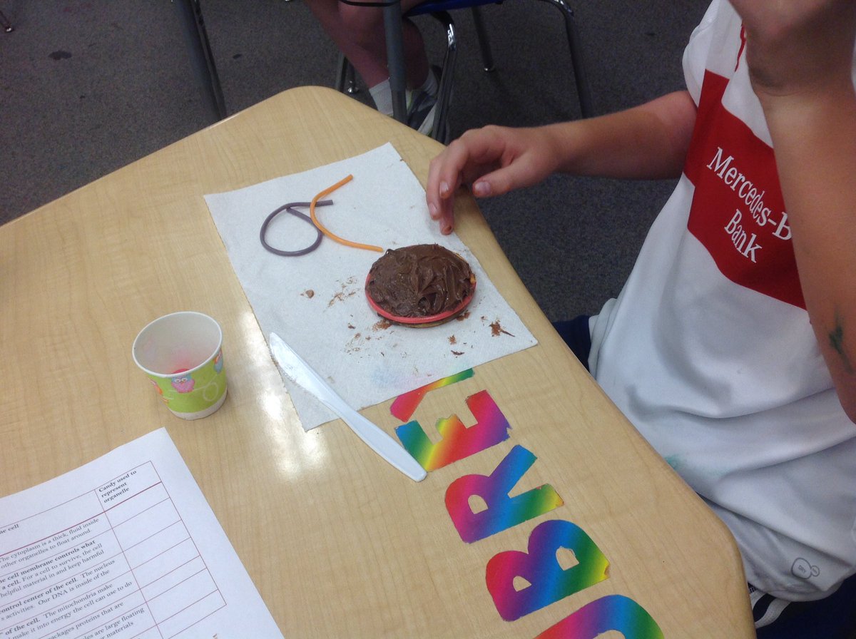 Richard Rollo (@MrRollosClass) | Twitter