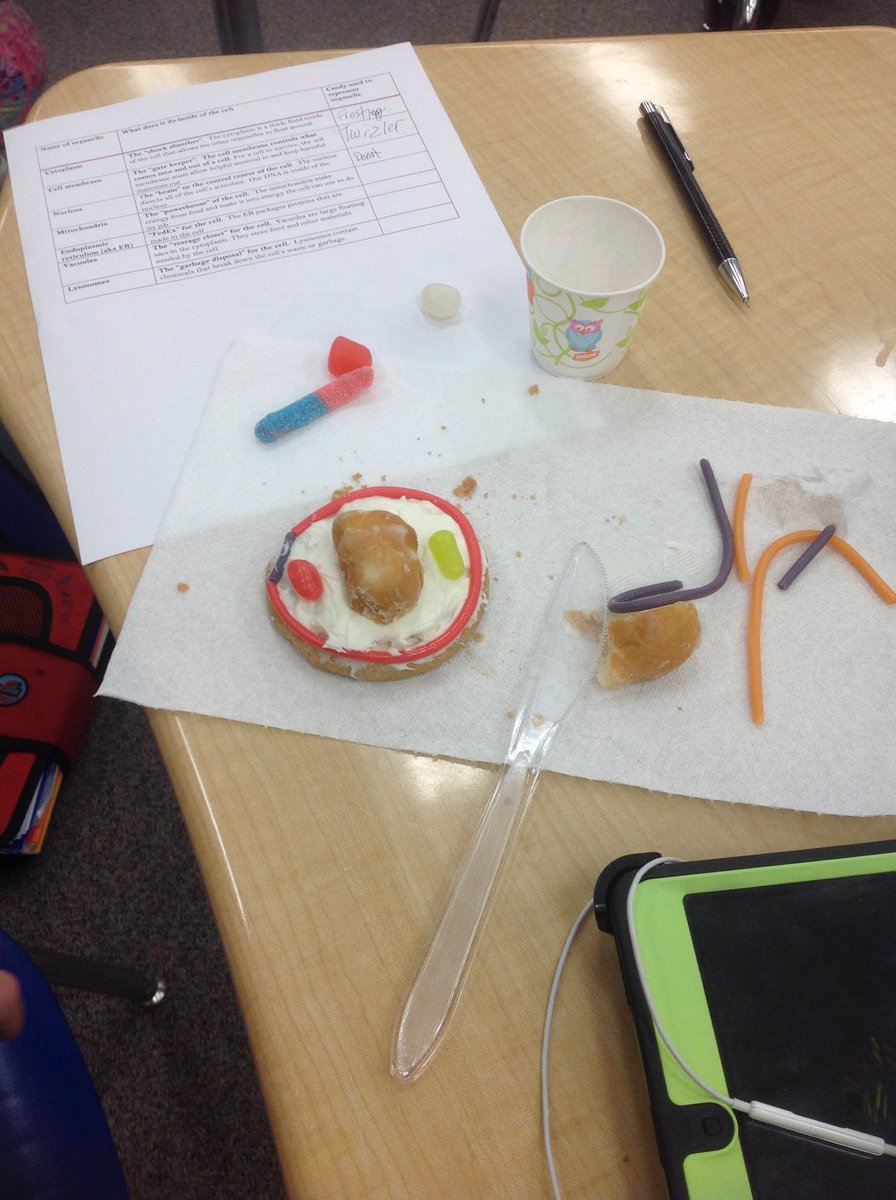 Richard Rollo (@MrRollosClass) | Twitter