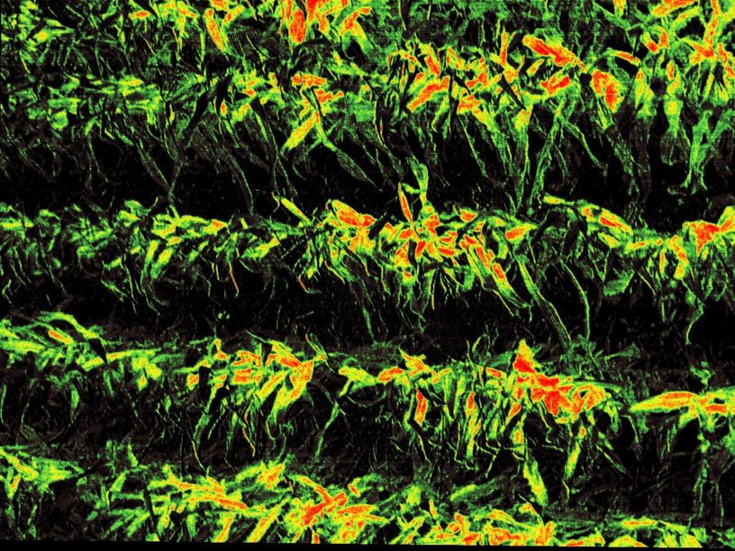 SentekSystems's tweet image. Low #UAV altitude gives you the highest resolution but limits coverage area
ow.ly/10nljw