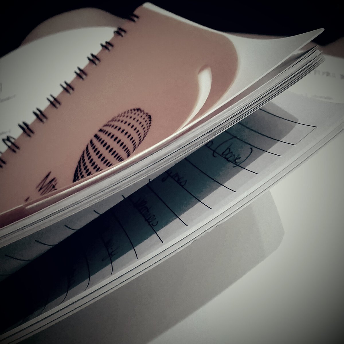 AusomeInsights's tweet photo. Is @AutismOne worth the trip? The free notebook is more than half full of information and follow-ups! #resoundingyes https://t.co/0tJ6sjnlO2