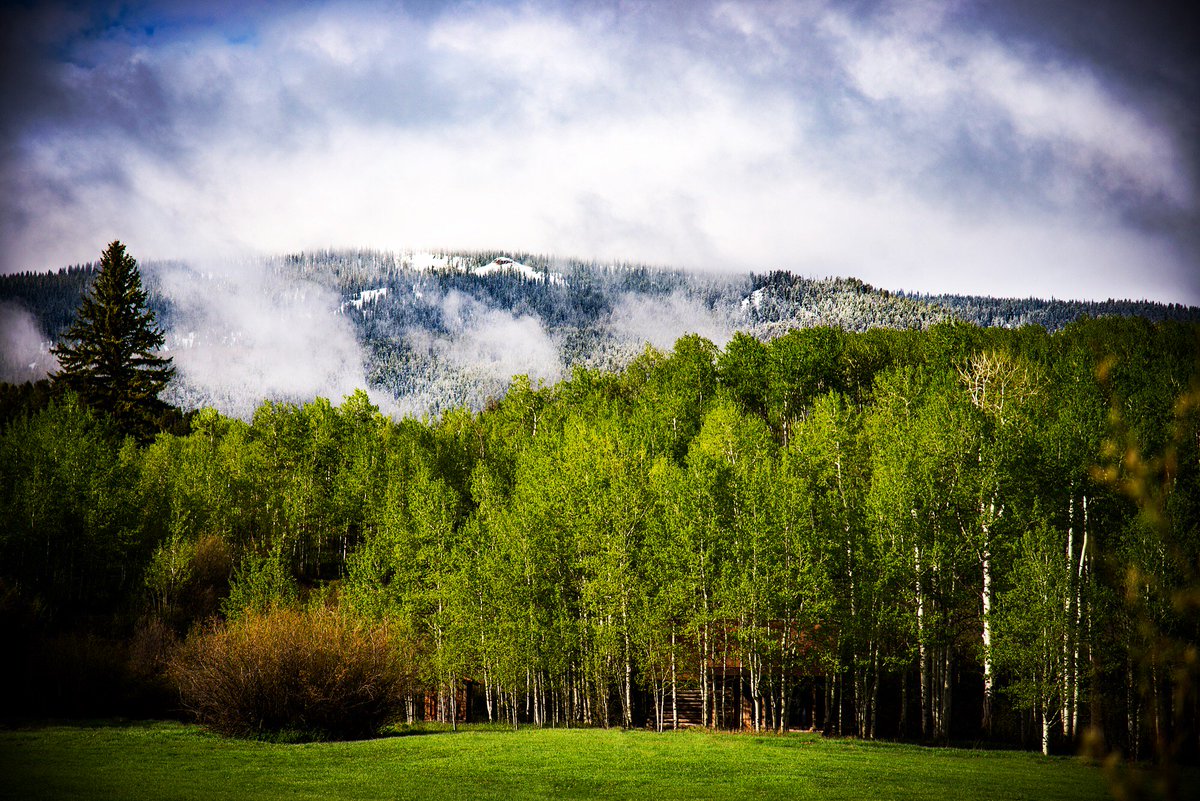 MyersRoberts's tweet photo. #Snowmass, you never know what you're gonna get. #AgencyInParadise https://t.co/xsOiURU0In