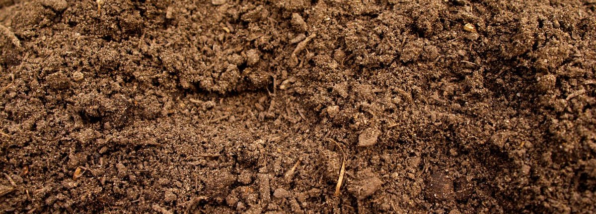 It all begins and ends with the soil. Sustainable Food Trust buff.ly/20KADja