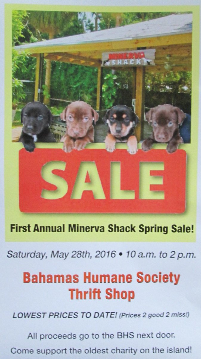 Bahamas Humane Soc tweet media