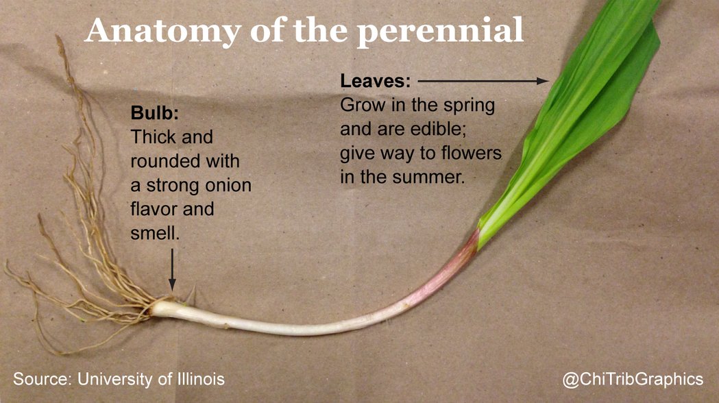 Mobile Kitchen tweet media