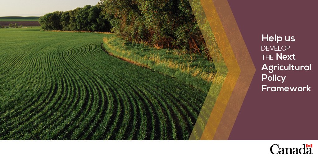 AAFC_Canada's tweet photo. We're working on the next policy framework w/ provinces and territories. Have a say: https://t.co/sKyrJ2Esvq #AgNPF https://t.co/GOpPFoseIs