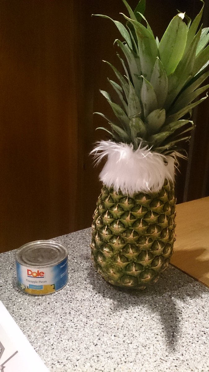 iWolfBeanz's tweet photo. PI Bob Pineapple, hunting for answers after Barbaraaaa Dole's untimely demise #CFz2016 #furrypineapple https://t.co/pTWup8hPqE