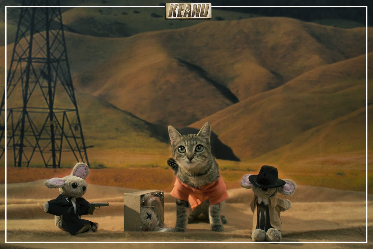 What’s in the litter box??!! #KEANU