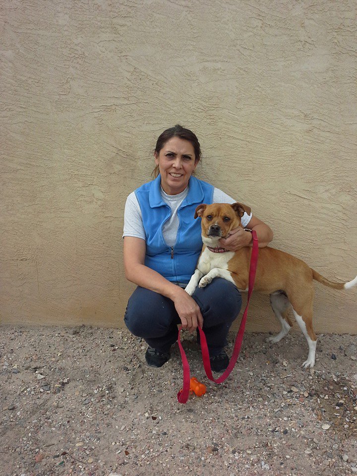 McGidget's tweet image. My friend Aimee found a new home! #adopt #love #stray