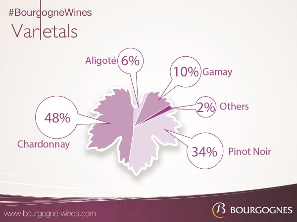 MT <a href="/BourgogneWines/">Bourgogne Wines</a> #Chardonnay is the most widely planted grape variety in #Bourgogne! bit.ly/25hQYPC