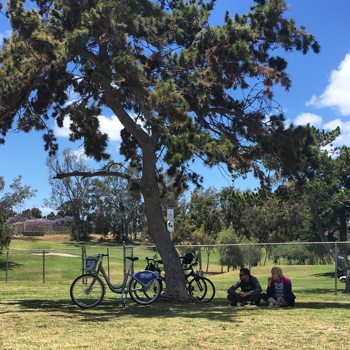 DiscoverBikeSD's tweet photo. The weekend is coming and it is a great time to enjoy a ride around our beautiful San Diego! #bikelife #gogreen https://t.co/tRDpYhKwaM