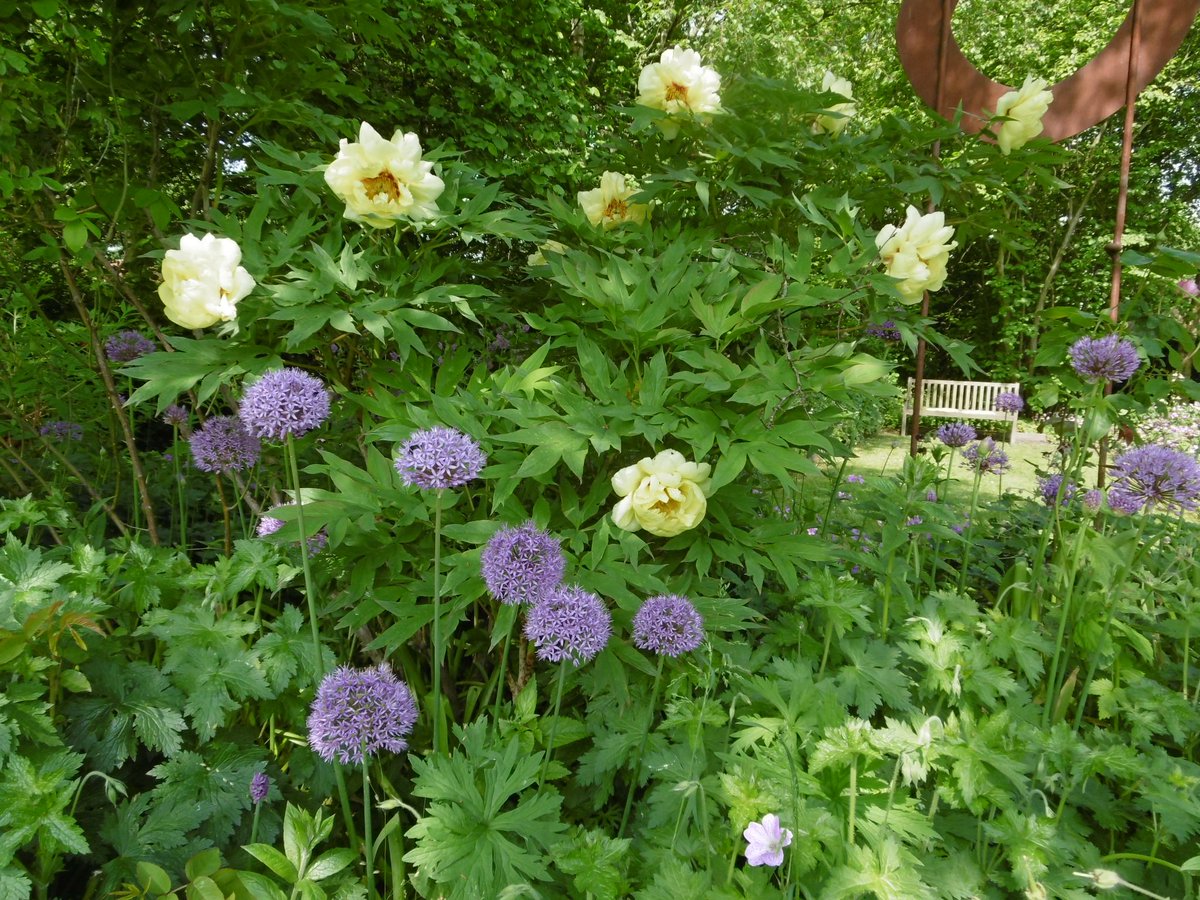Wij zijn ook op zondag 29 mei open, vanaf 10 uur. Hier een kijkje in de tuin naast de kwekerij en de theetuin.