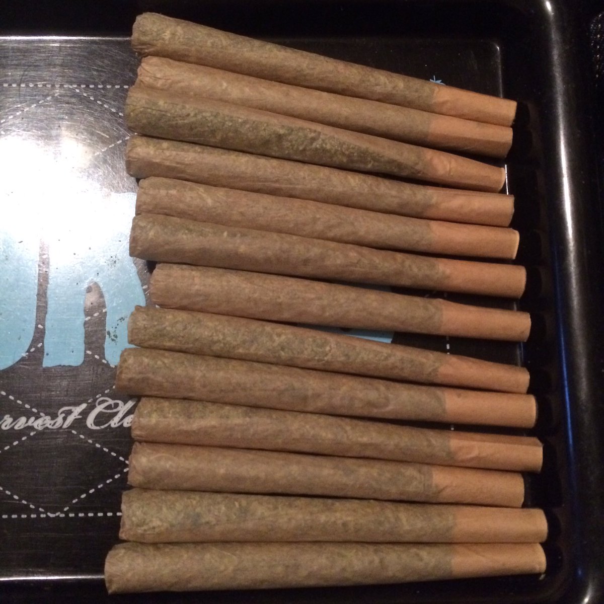 MasterToSub's tweet photo. @MzJayne420 I got a few rolled lmao #PapersNoBlunts https://t.co/Hd7eJxcvLA