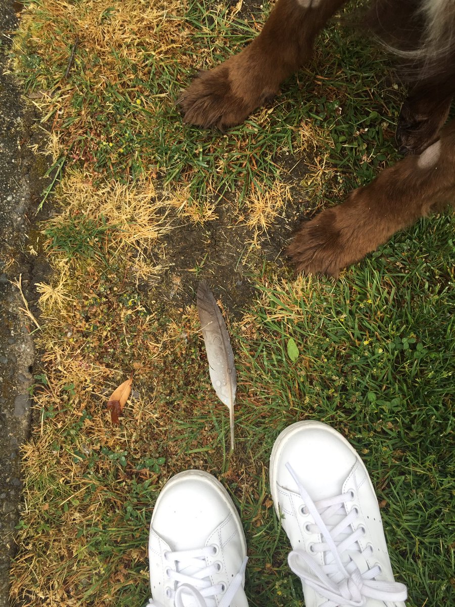 My visit w Lola &amp; on our walk we stumbled upon this ... #Hope She's healing. Thank u all for ur love &amp; support. 🙏🏽❤️