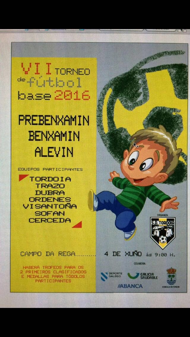 SD Tordoia tweet media