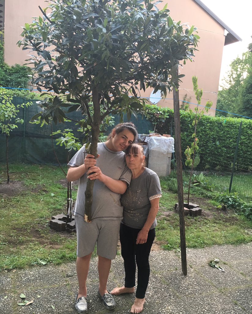 Angelo531Angelo's tweet photo. Lavori in corso ❌❌❌❌❌ #giardinosupertop #infamily #happines Con @Pasqual35378591 @vicinipatrizia2 https://t.co/qWWAdCLKxs