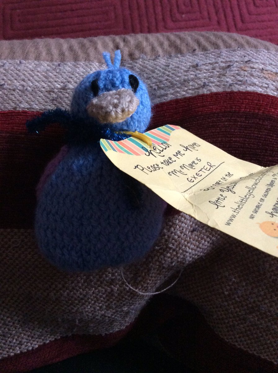 kimmiefurze's tweet photo. This little duck is called Exeter and was found at Exeter st David's 😊 @YellowDuckProj https://t.co/ZyM54uIuPZ