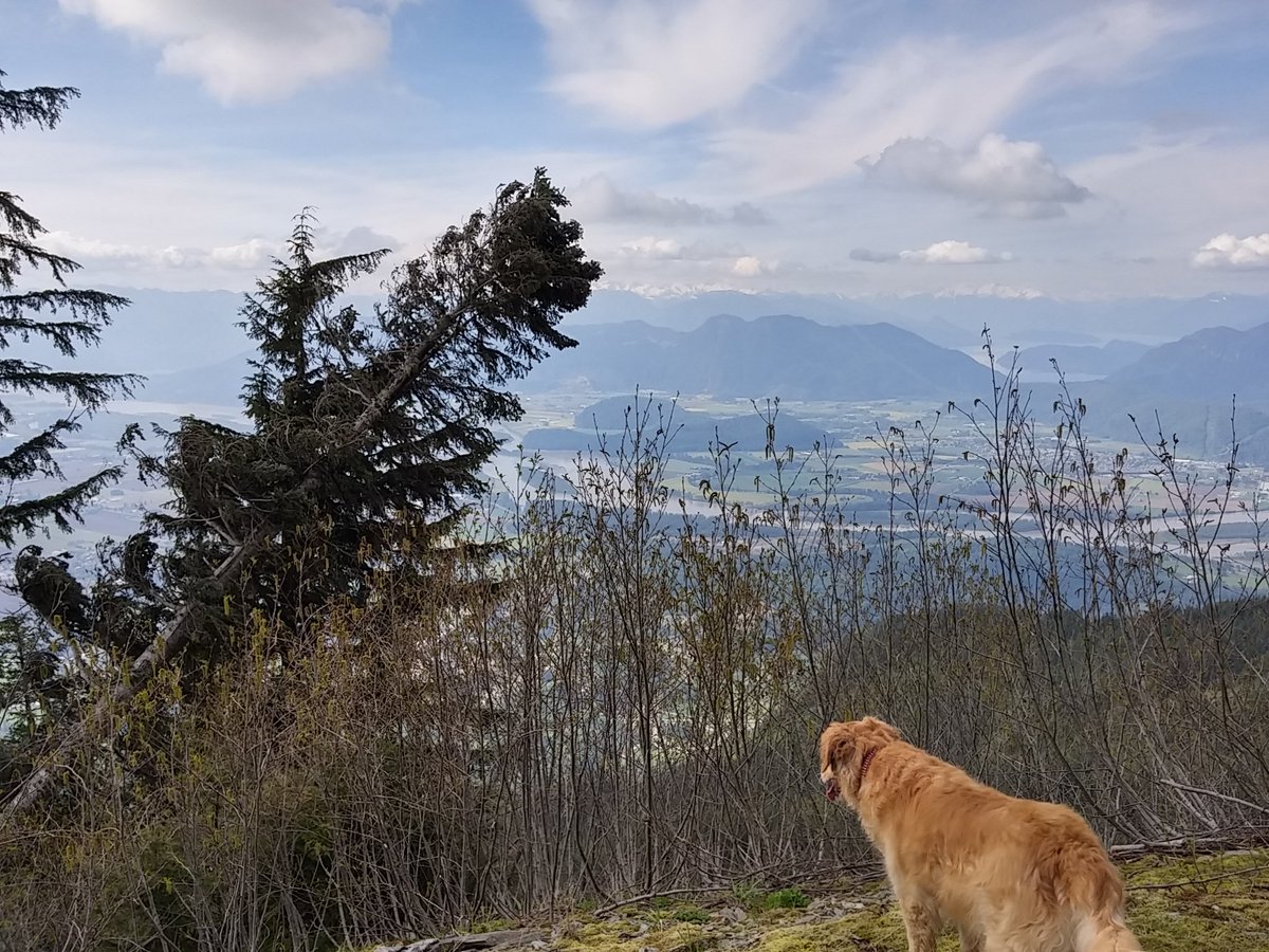 CaptSamME's tweet photo. Glad to be at #home4now with family in @HelloBC Sorry about the severe tstorm watch @kingstonpolice Beautiful here π https://t.co/WOzQrrpTFv