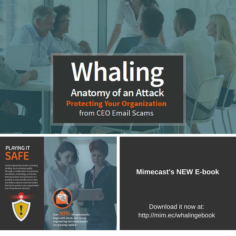 Mimecast's tweet photo. 70% of #whalingattacks involve domain spoofing. Read how you can combat the problem: https://t.co/SwuFBxCznu https://t.co/KIIQ0Eztwr