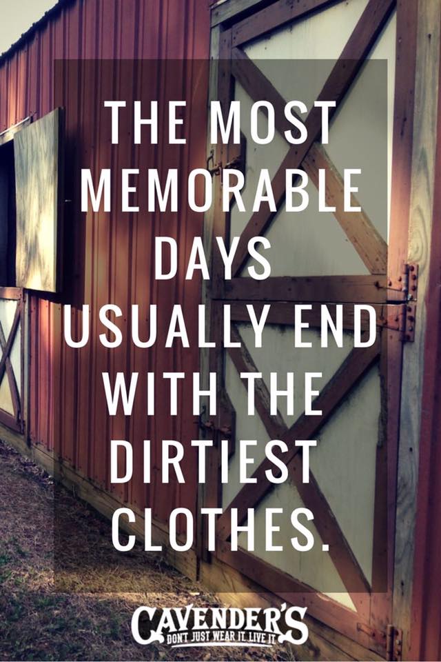 Alexa Cheater tweet media