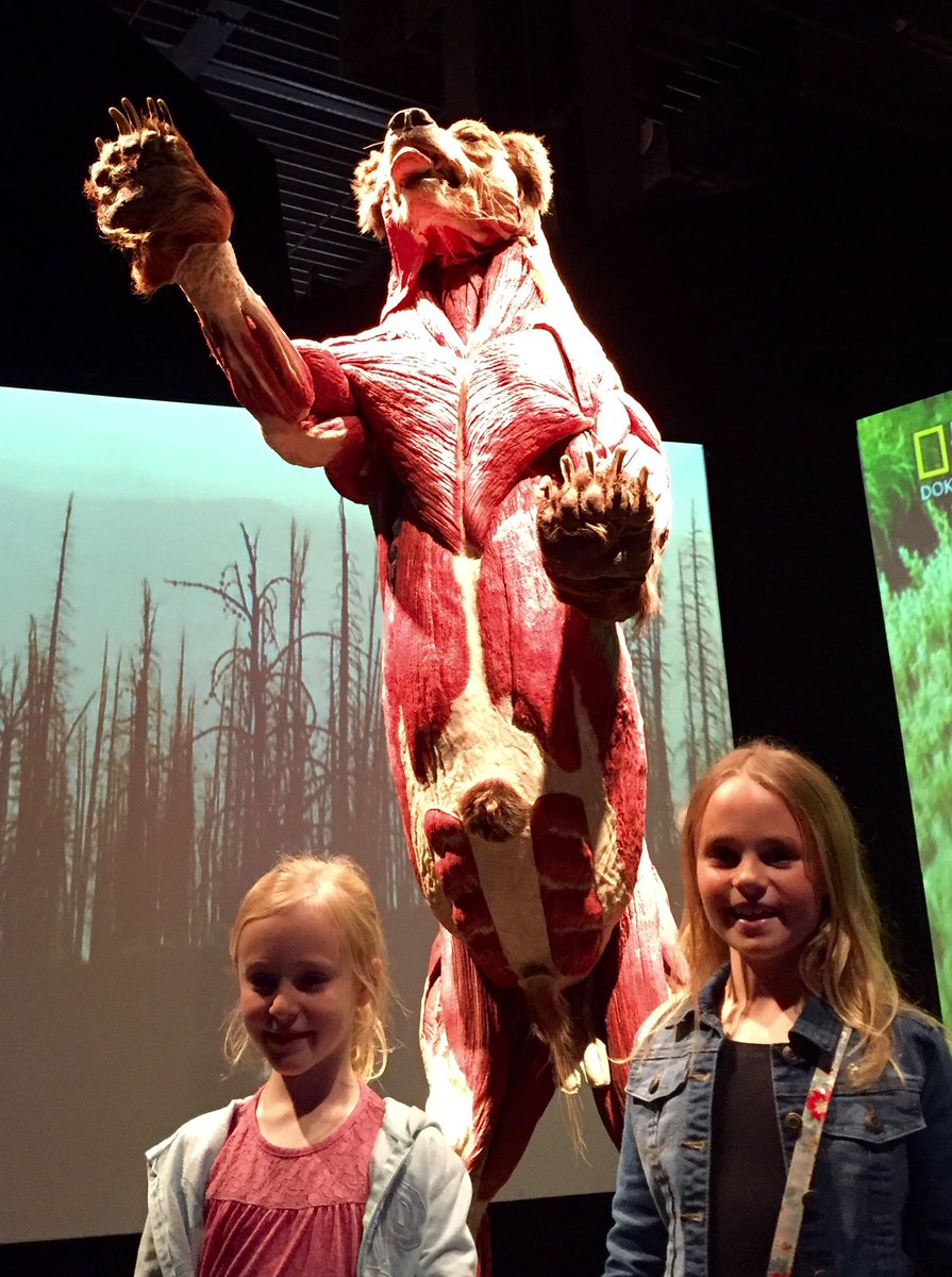 Kathiewx's tweet photo. Totally amazing exhibition launch @NCLScience tonight! The kids found it fascinating. #animalsinsideout https://t.co/3gTTwYcNQA