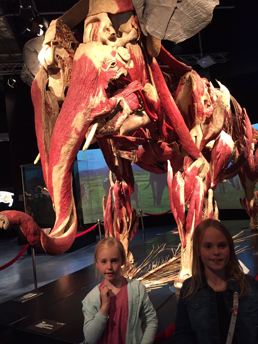 Kathiewx's tweet photo. Totally amazing exhibition launch @NCLScience tonight! The kids found it fascinating. #animalsinsideout https://t.co/3gTTwYcNQA