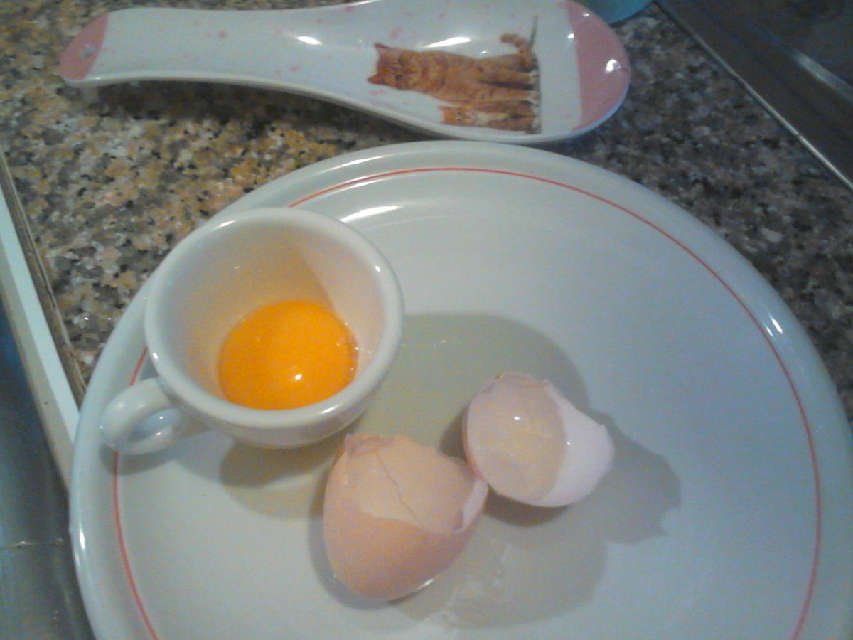 theWritingCats's tweet photo. https://t.co/6rdkmypizU #eggs for #cats #recipes #CatsOfTwitter #chef for #cats https://t.co/4MMWKrAQLm