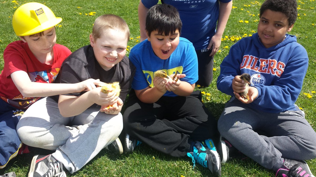 TseliosJ's tweet photo. Learning through the power of #empathy &amp; #kindness @1GreatLakes2013 - JCOM says bye 2 our ducklings @JPomianowski https://t.co/N48LQZeDEw