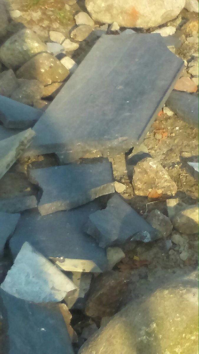 VelthuisA's tweet photo. Blijkbaar moeten ook nu mensen  / vandalen andermans eigendommen vernielen. MFA Schakelveld doelwit van vandalen. https://t.co/eYb3AlhGfs