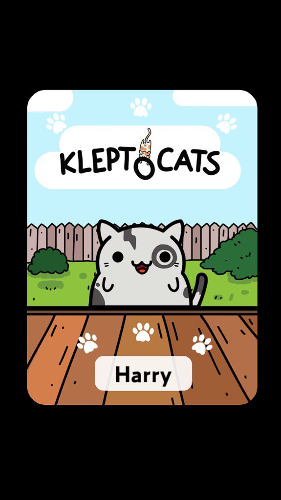 Lys_RD's tweet photo. #KleptoCats Aquí está mi nuevo amigo #iOS https://t.co/yLHBJBezb9 https://t.co/eN8mifL1Jd