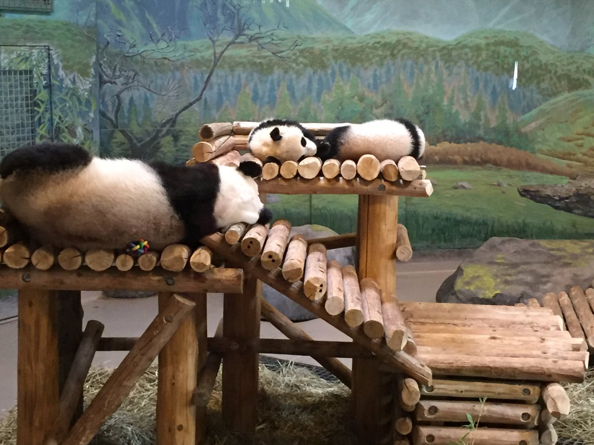 St. Stephen C.S.S. tweet media